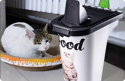 Kunststoff Spritzguss Container für Tiernahrung